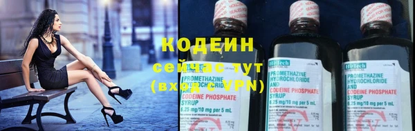 шишки Краснотурьинск