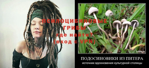 прущие крисы Абинск