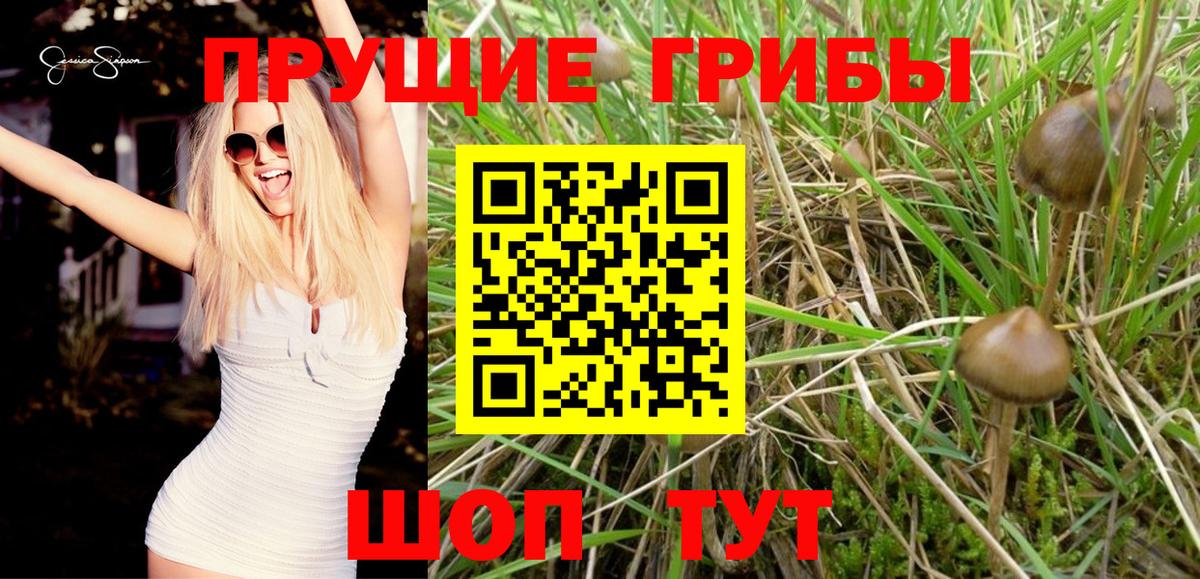 Галлюциногенные грибы Cubensis  Вход с VPN  как найти закладки  Галлюциногенные грибы ЛСД  Янаул 